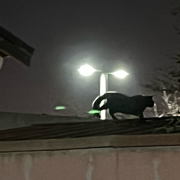 Meet your Posher, Maricza - Picture 1 of 1